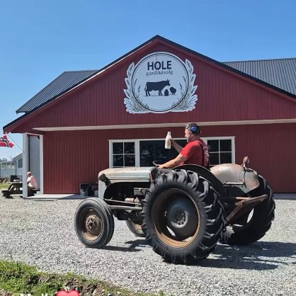 Gråtass-traktor foran det røde fjøset med HOLE-emblemet på Voll.